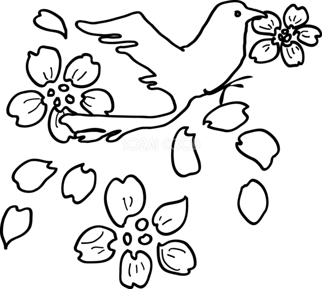 白黒の桜イラスト おしゃれ 花びらくわえる鳥 39640 素材good