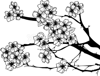 白黒の桜イラスト おしゃれ(枝と花びら)39656