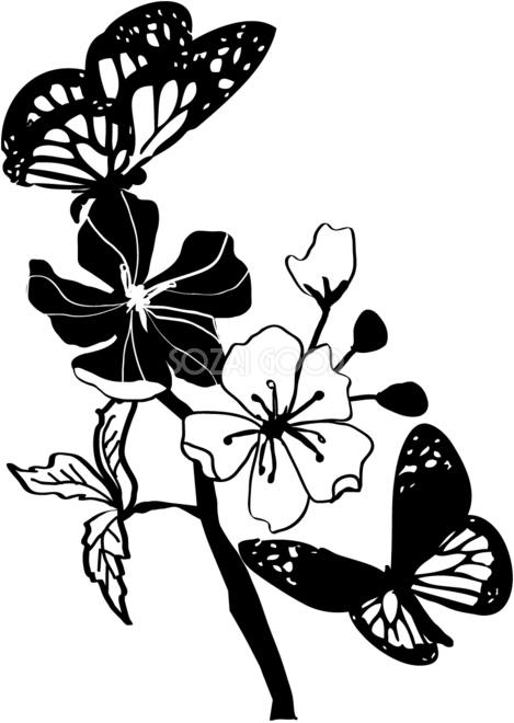 白黒の桜イラスト おしゃれ 蝶と枝 素材good
