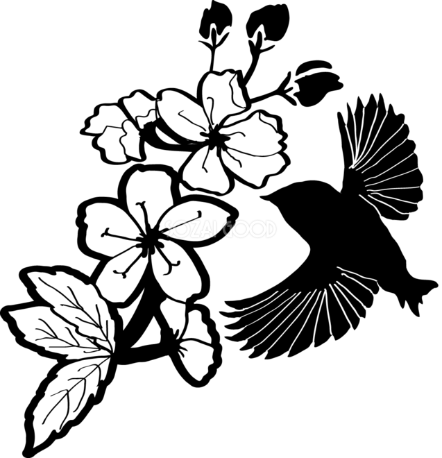 白黒の桜イラスト おしゃれ 鳥と枝 素材good
