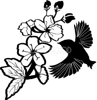 白黒の桜イラスト おしゃれ(鳥と枝)39664