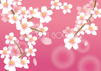 桜 イラスト 春の背景(立体)39829