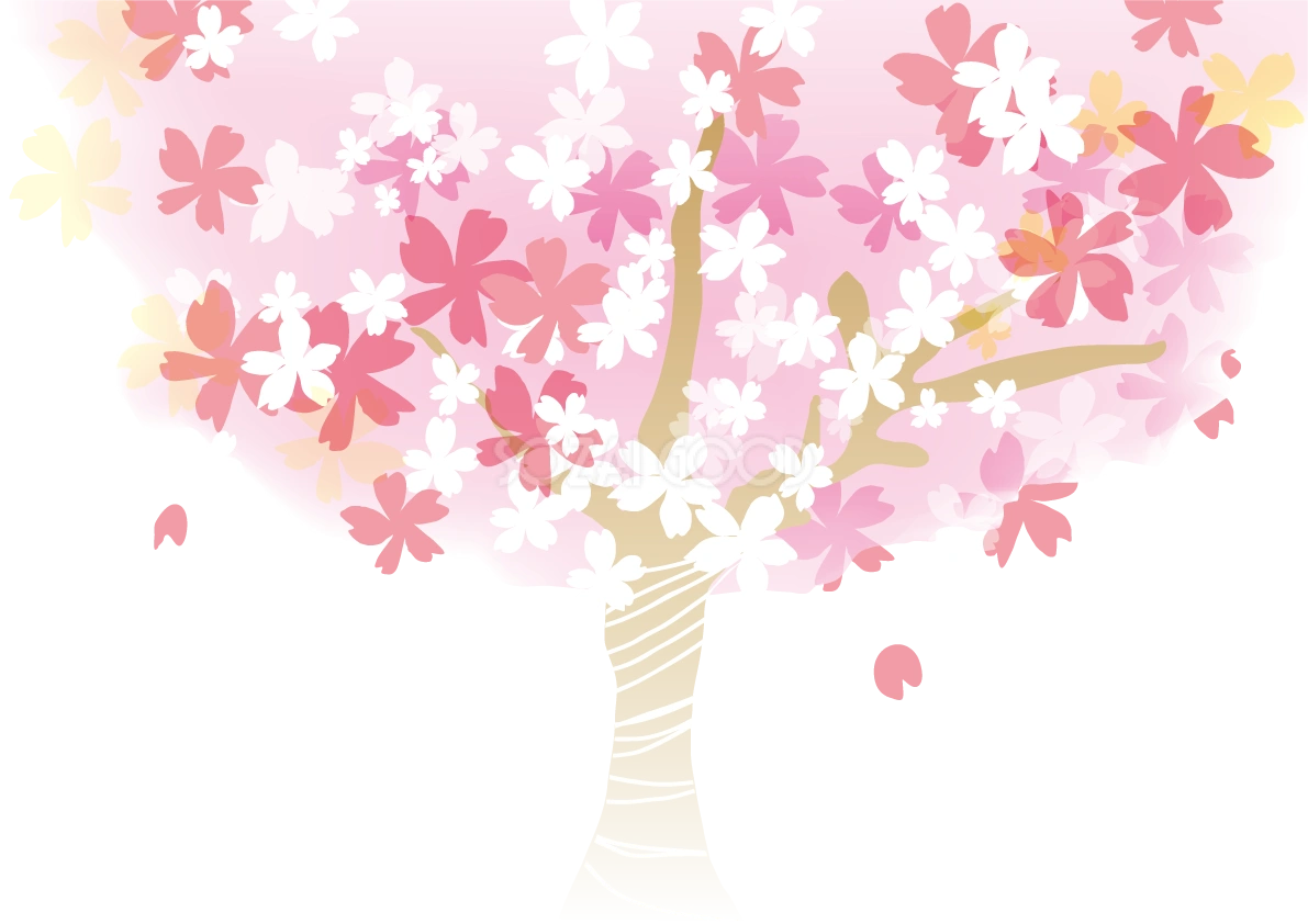 桜 春の背景イラスト(大きな桜の木)39893