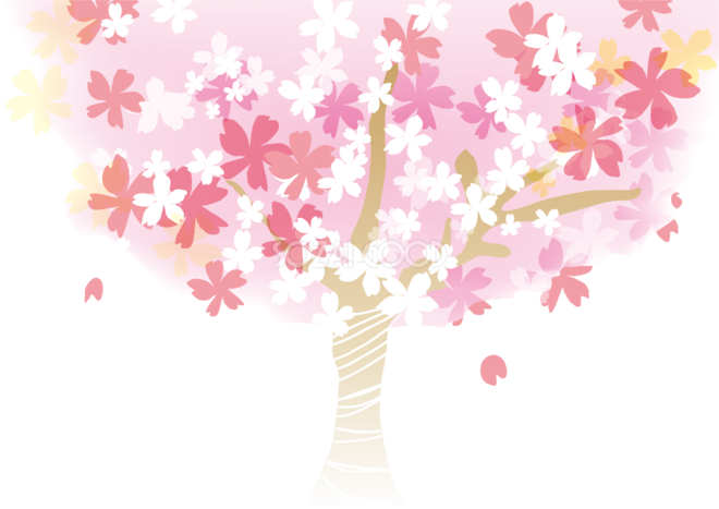 桜 春の背景イラスト 大きな桜の木 393 素材good