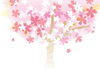 桜 春の背景イラスト(大きな桜の木)39893