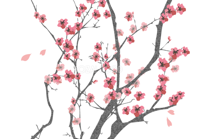 桜の枝イラスト 無料 フリー 素材good