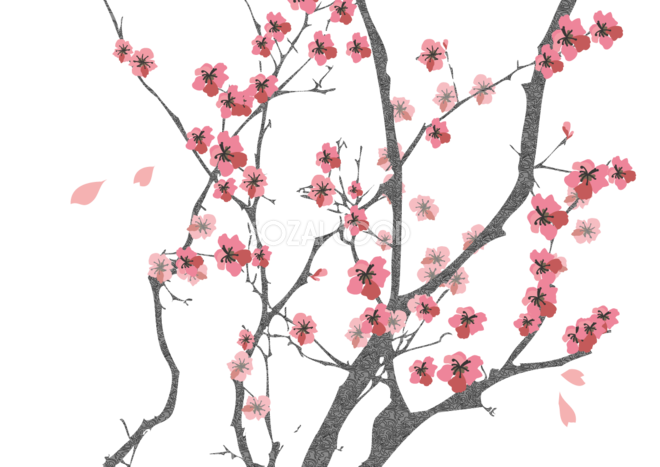 桜 春の背景イラスト 和風 39901 素材good