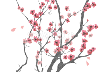 桜 春の背景イラスト(和風)39901