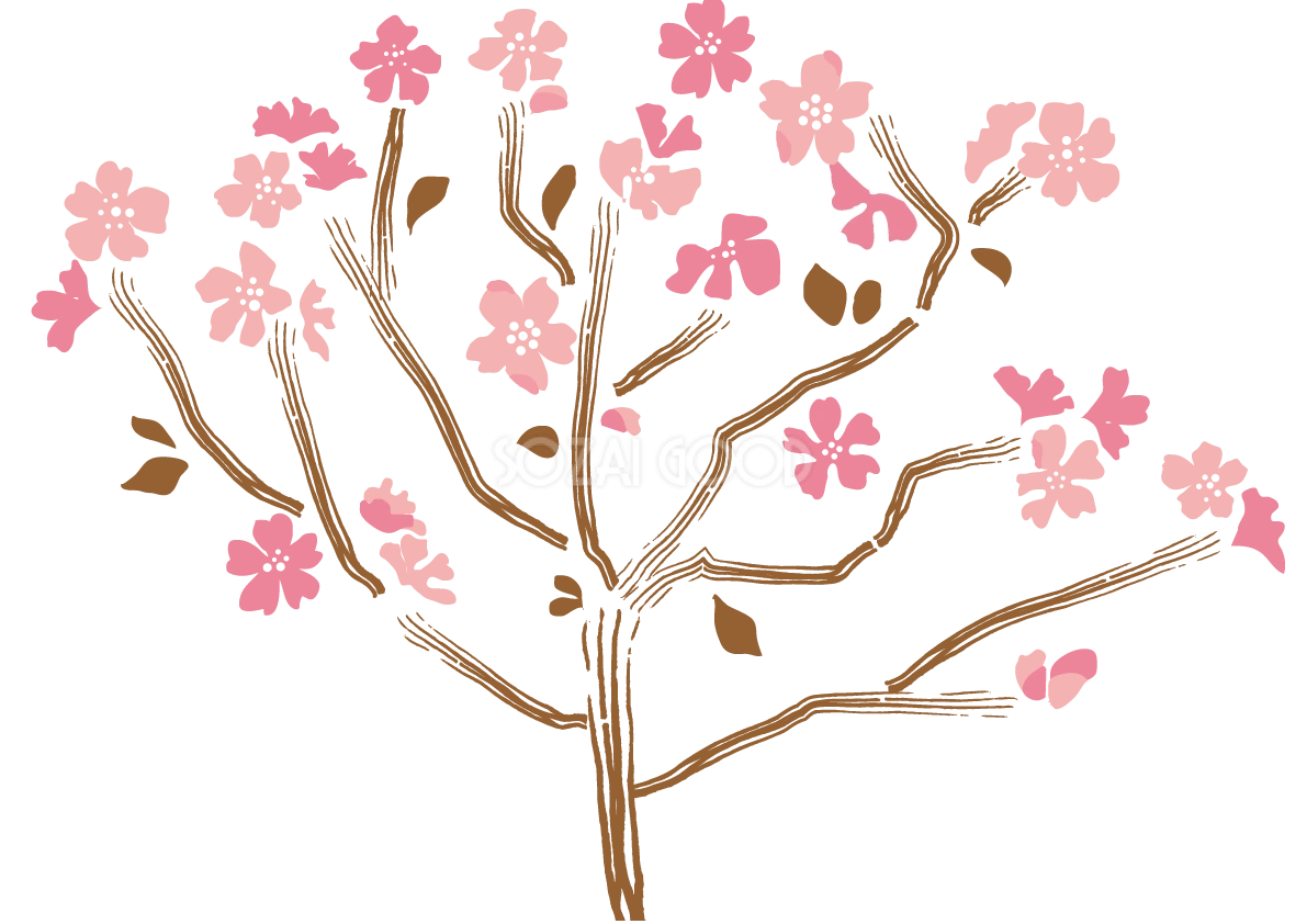 桜 春の背景イラスト(和風)239905