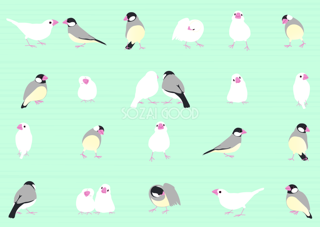 美しい花の画像 Hd限定イラスト 鳥 かわいい