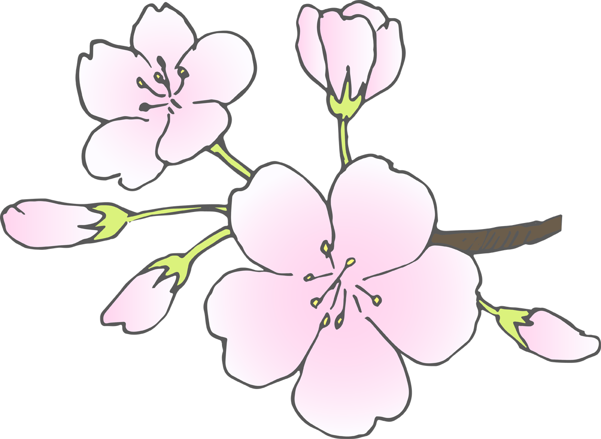 桜の花(ソメイヨシノ)無料イラスト40467に写真・文字を入れる