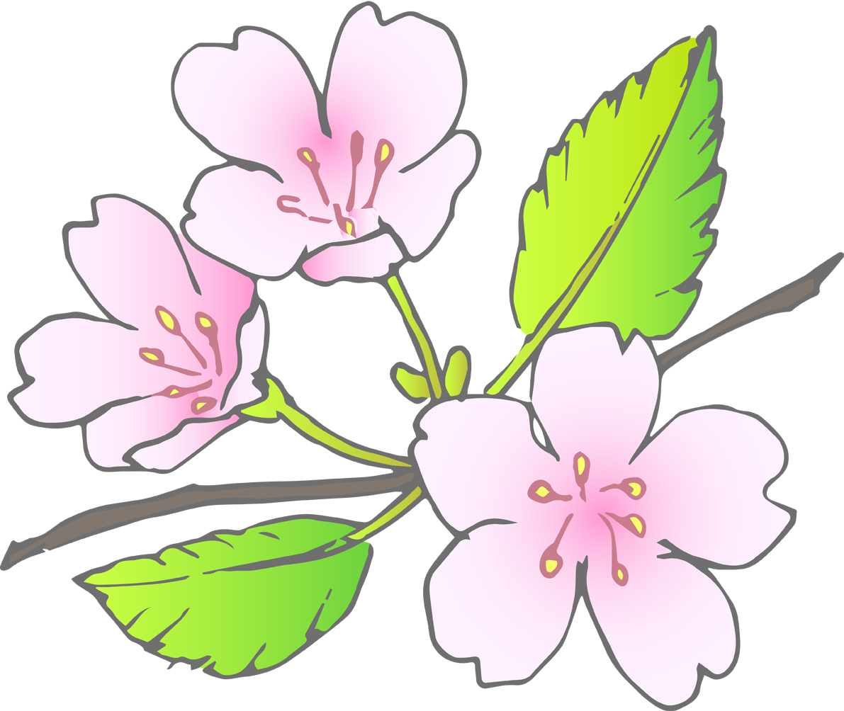 桜の花(葉桜)無料イラスト40475に写真・文字を入れる