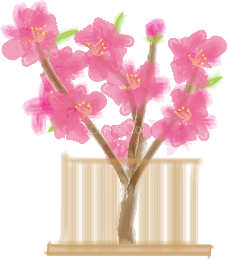 ひな祭り 桃の花 無料イラスト40969