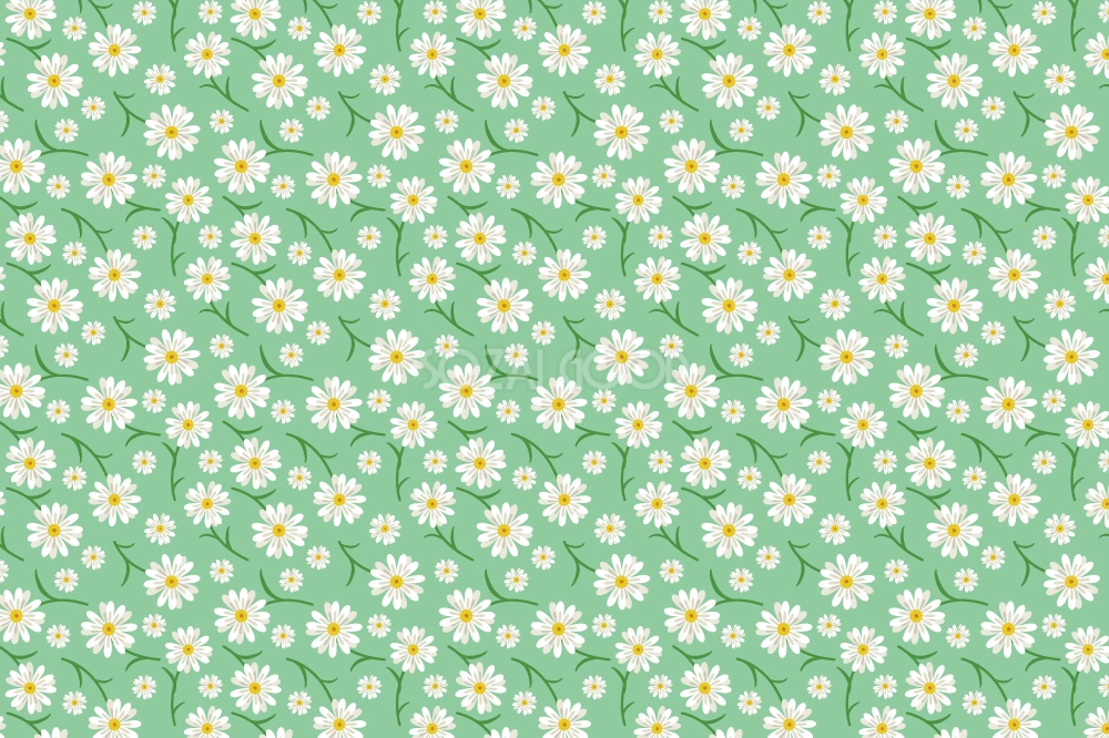 ヒナギク花柄の背景(緑 グリーン)無料イラスト-春41196