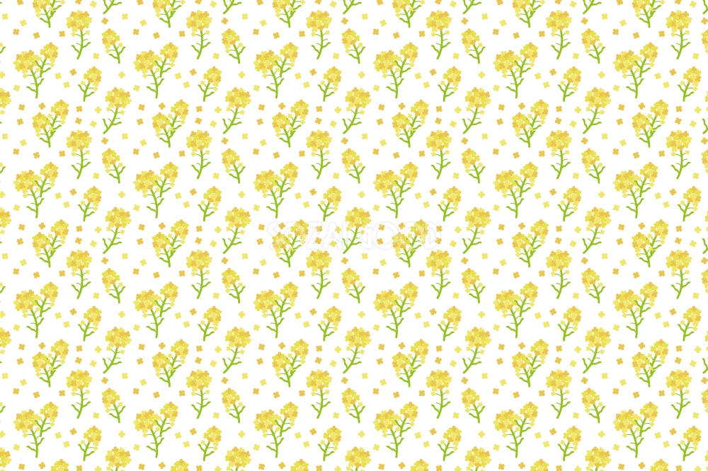菜の花の花柄-背景無料イラスト-春41204