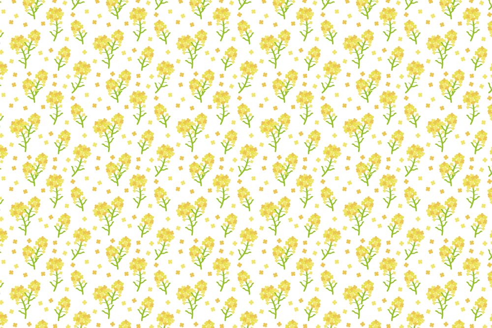 菜の花の花柄-背景無料イラスト-春41204に写真・文字を入れる