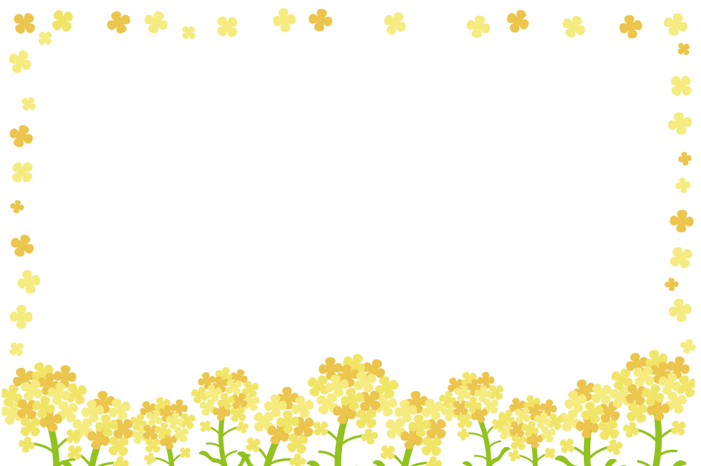 かわいい菜の花枠のフレーム無料イラスト-春41208に写真・文字を入れる