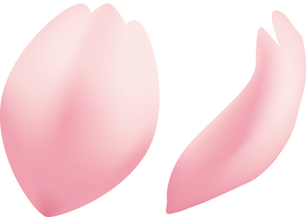 桜の花びら無料イラスト-春41232に写真・文字を入れる