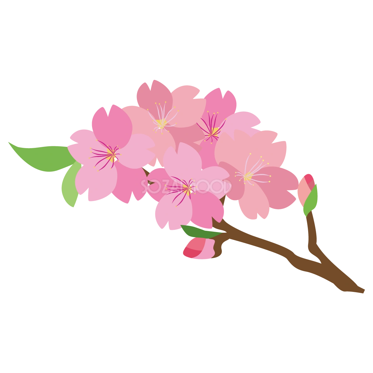 桜の枝のかわいい無料イラスト-春41338