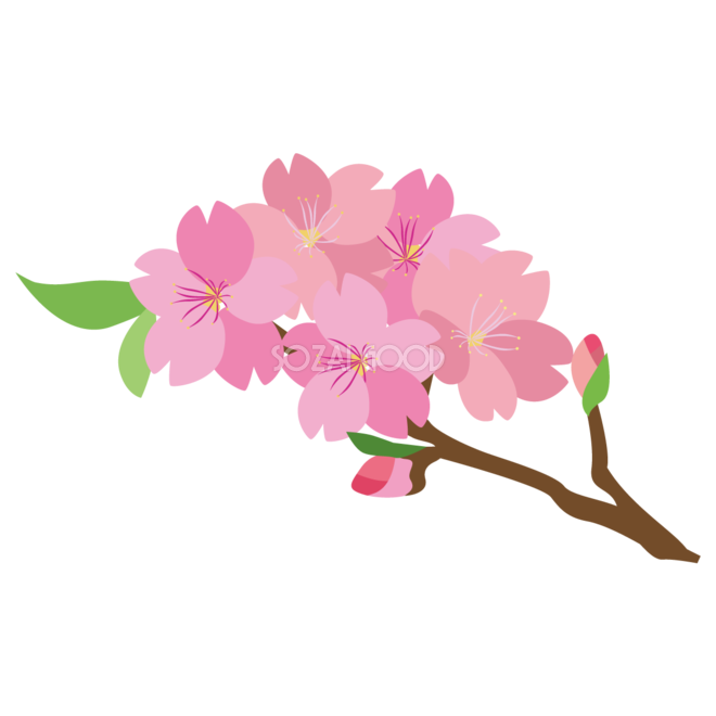 桜の枝のかわいい無料イラスト 春41338 素材good