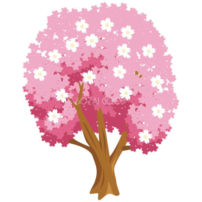 桜の木のかわいい無料イラスト 春 素材good
