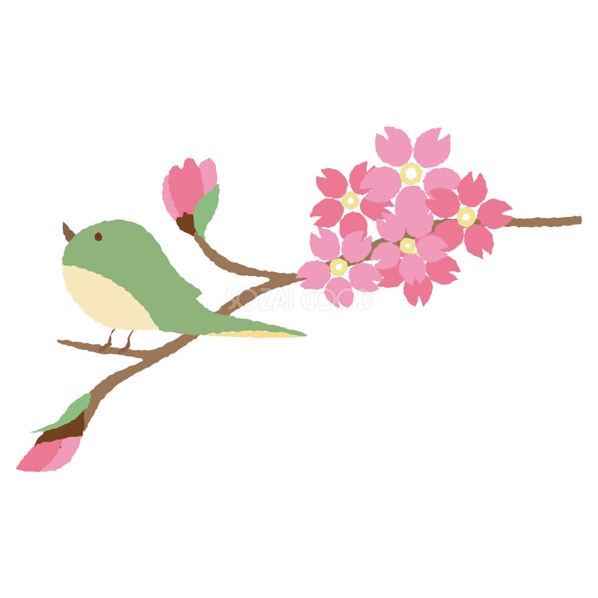 鶯と桜のかわいい無料イラスト-春41395