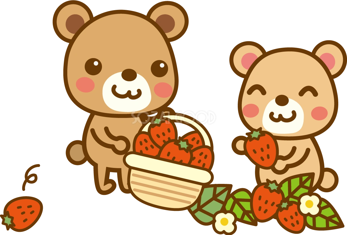 いちごを収穫するクマのかわいい無料イラスト-春41403