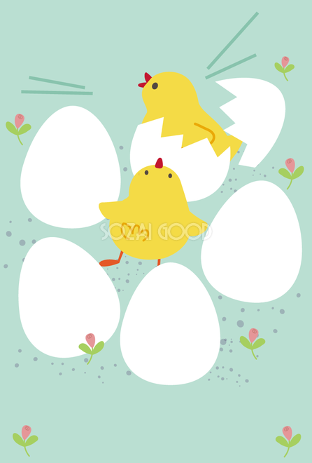 17ひよこが卵から誕生の無料イラスト 年賀状デザイン440 素材good