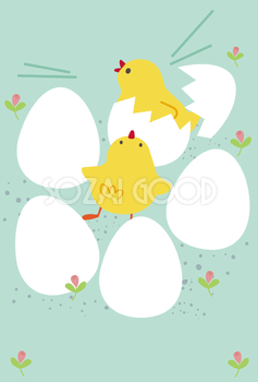 2017ひよこが卵から誕生の無料イラスト／年賀状デザイン42040