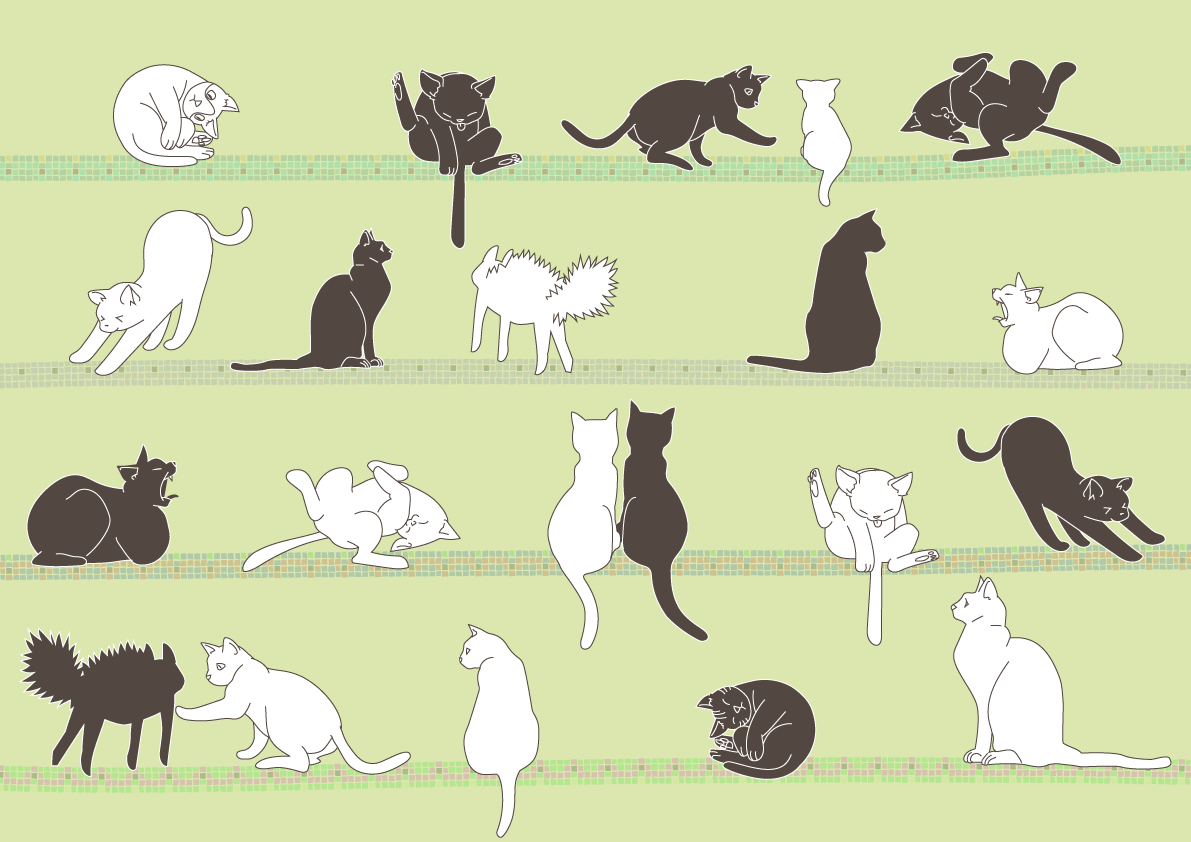おしゃれな白と黒の猫の色々なポーズの背景無料イラスト／42191に写真・文字を入れる