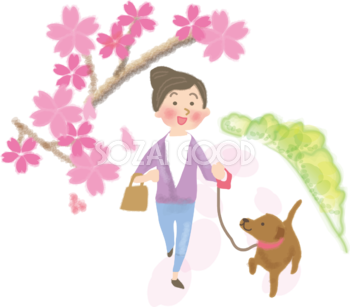 お花見の犬のおでかけ散歩 無料イラスト／春42274