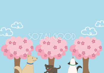 犬のお花見の背景無料イラスト／春42957