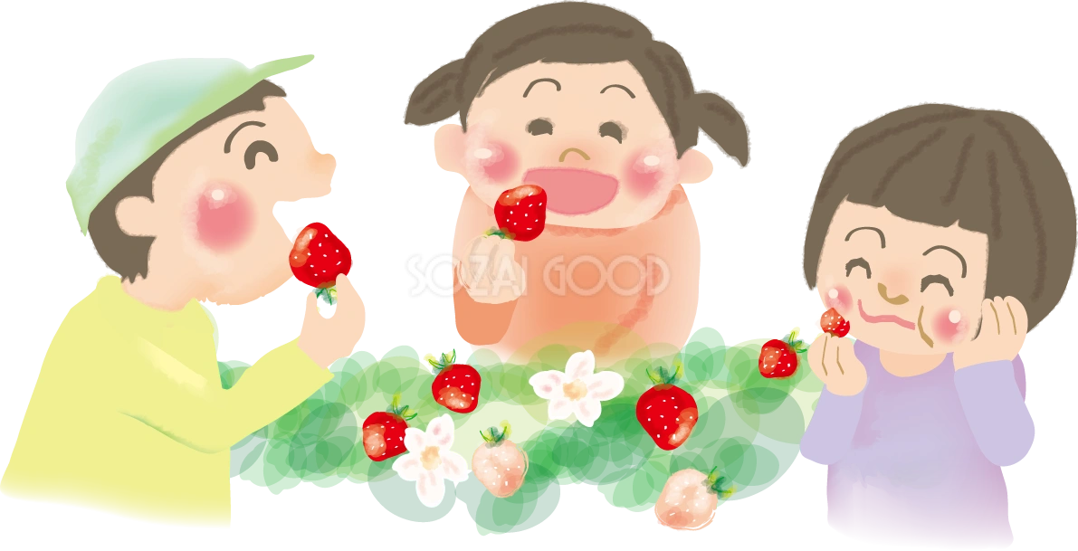 いちご狩りをする子供達の無料イラスト/冬43212