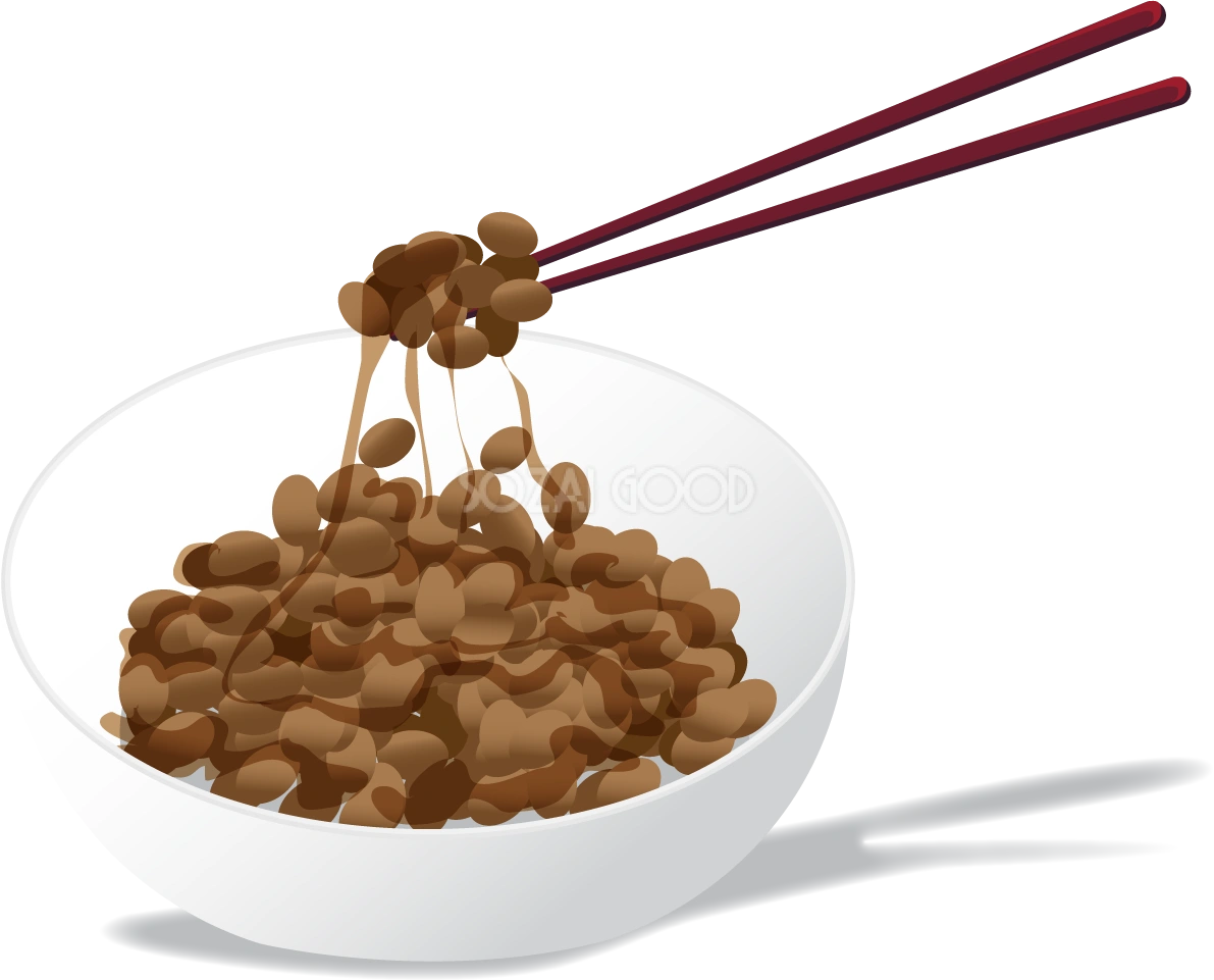 納豆の無料イラスト／医療／健康43280