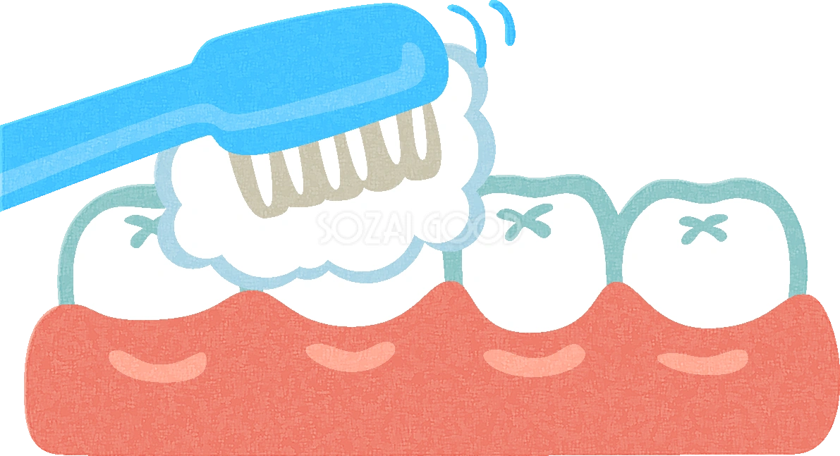 歯磨きアップの無料イラスト／医療／健康43672