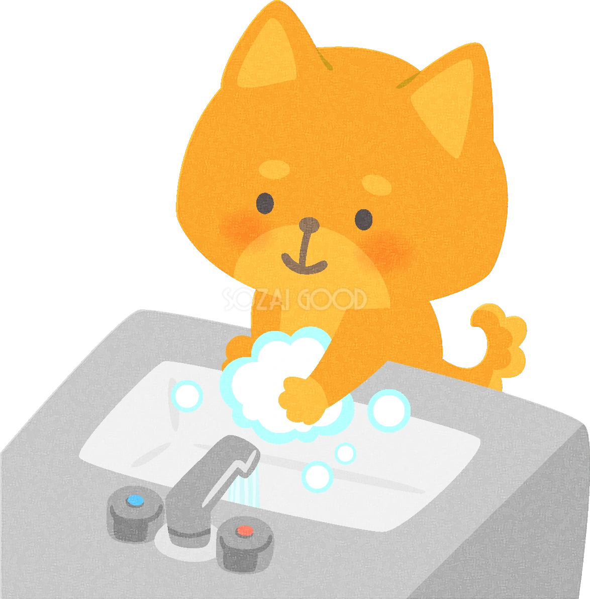 手洗いする犬の無料イラスト/医療/健康43723