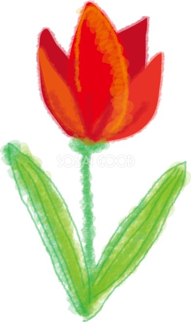 チューリップの無料イラスト 花 素材good