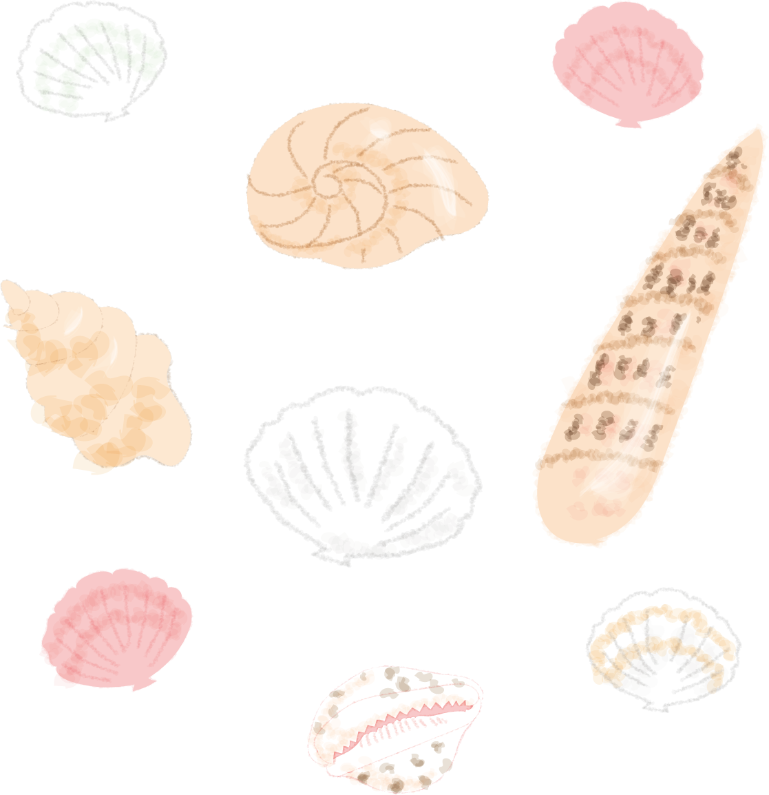 貝殻いろいろの無料イラスト／海46158に写真・文字を入れる