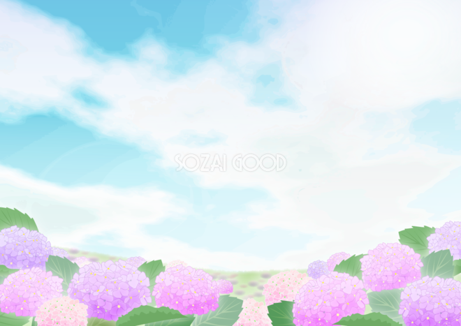 野原に可愛く咲く紫陽花の背景無料イラスト 梅雨 素材good