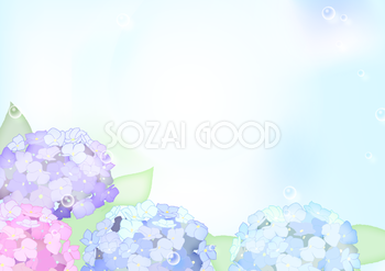 おしゃれ綺麗な紫陽花の背景無料イラスト／梅雨46473