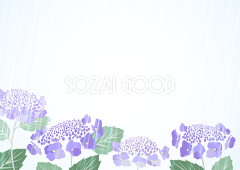 額紫陽花(ガクアジサイ)と雨の背景無料イラスト／梅雨46477