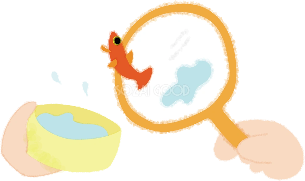 かわいい金魚救い手元アップの無料イラスト/お祭り47264