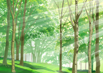 木々の背景(緑 グリーン)無料イラスト／夏49502