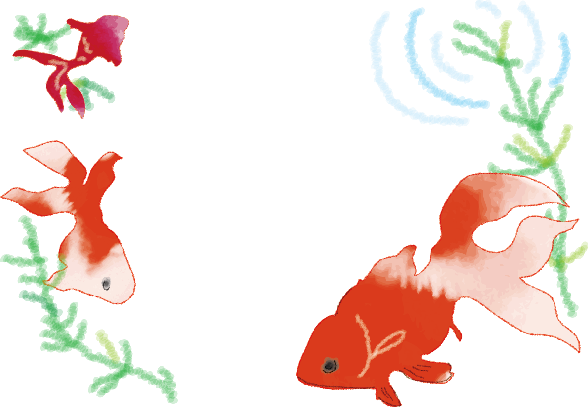 金魚のフレーム無料イラスト／夏50431に写真・文字を入れる