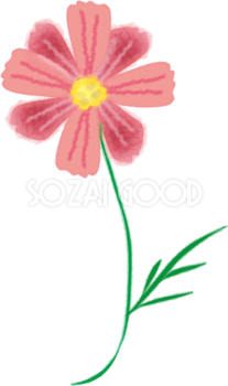 コスモス 秋桜 イラスト 無料フリー 素材good