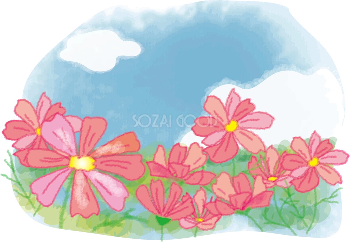 かわいいコスモス(秋桜)畑と秋空の無料イラスト51691