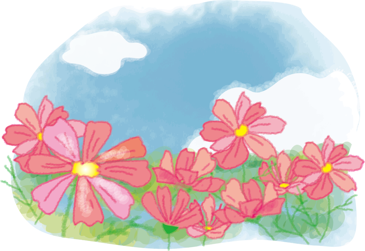 かわいいコスモス(秋桜)畑と秋空の無料イラスト51691に写真・文字を入れる