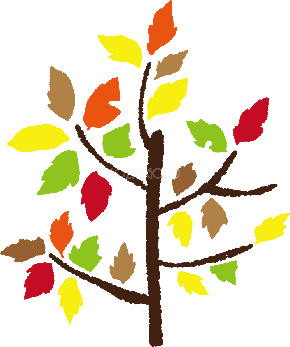 秋の紅葉したおしゃれな木の無料イラスト51775