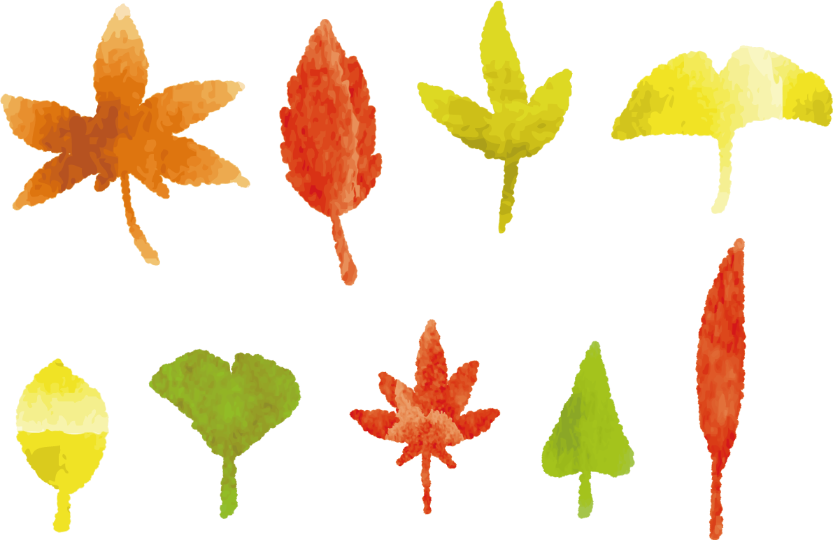 かわいい色々な紅葉(もみじ)無料イラスト／秋51807に写真・文字を入れる