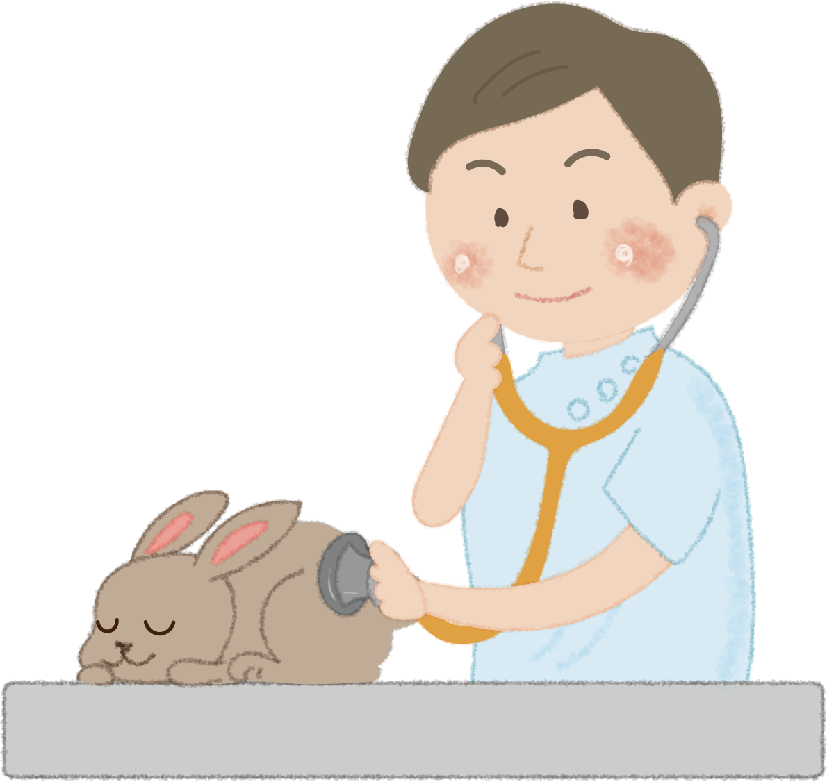 うさぎを聴診器で診察するお医者さん（獣医）無料イラスト52529に写真・文字を入れる